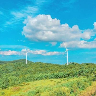 疯狂宠物蛋红包版(暂未上线)v1.0 安卓版